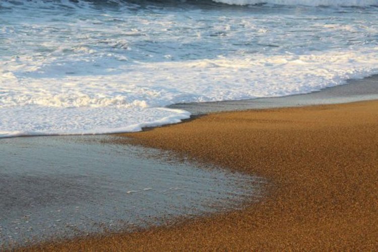 Трупове на два делфина изхвърли за седмица морето край Синеморец