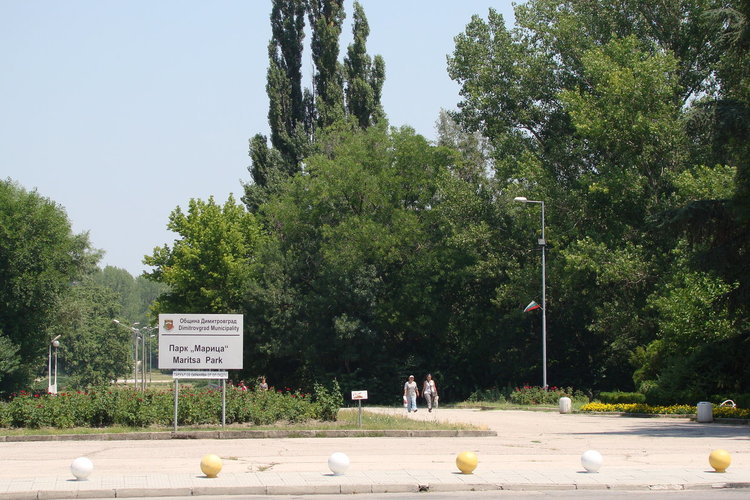 Морят комарите в Димитровград за трети път това лято