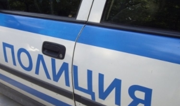 МВР праща полицаи на остров Лесбос