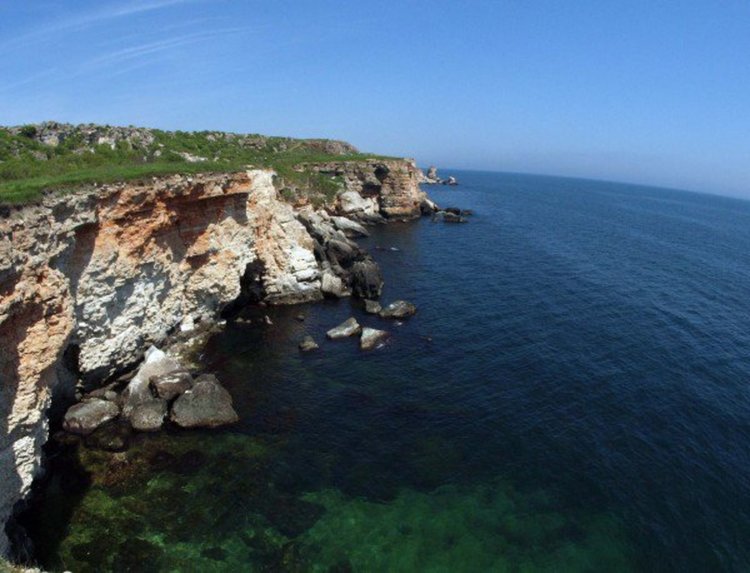 Все по-малко риба в Черно море заради преулов и замърсяване  