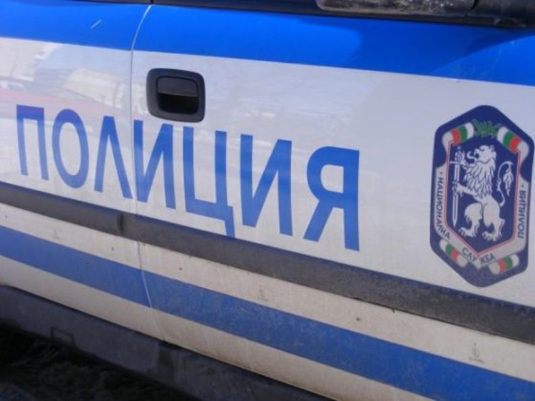Арестуваха 87 мигранти на българо-сръбската граница