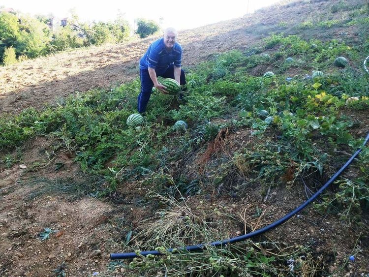 Ардинчанин отгледа бостан на 1000 метра надморска височина