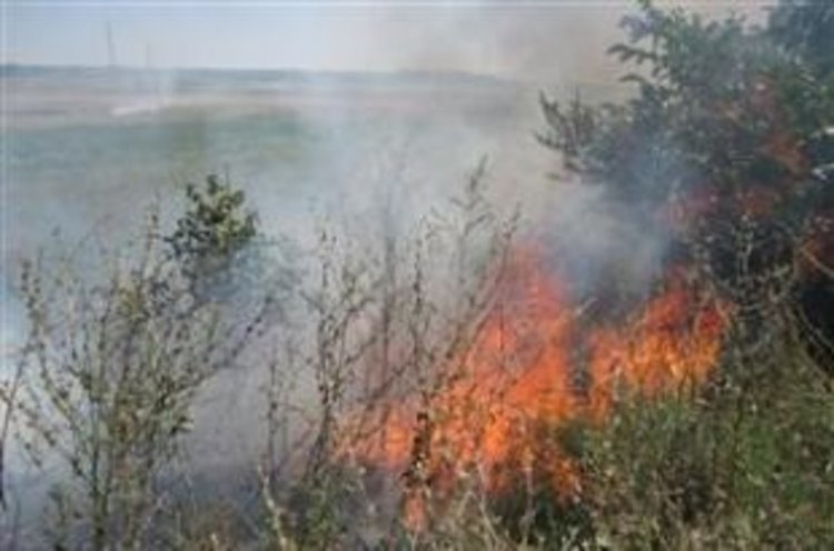 Човешко нехайство: Изгоряха 320 декара сухи треви и храсти 