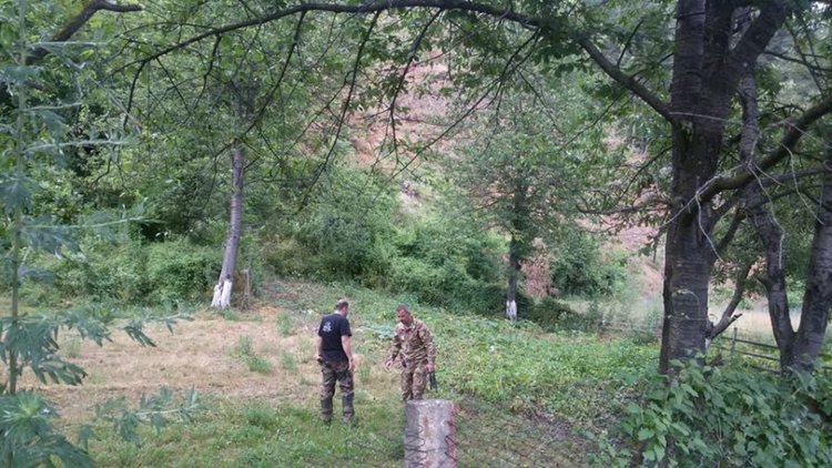 Еколози поставиха камери в района на Петково, раздадоха и спрейове на местните за защита от мечки 