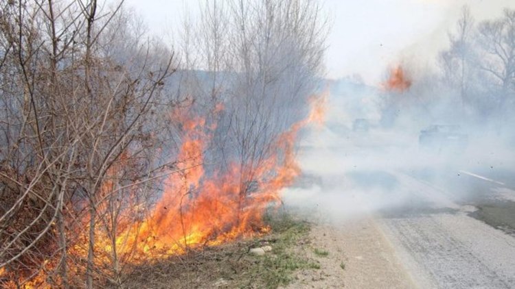 Горяха сухи треви и храсти в Долно Прахово