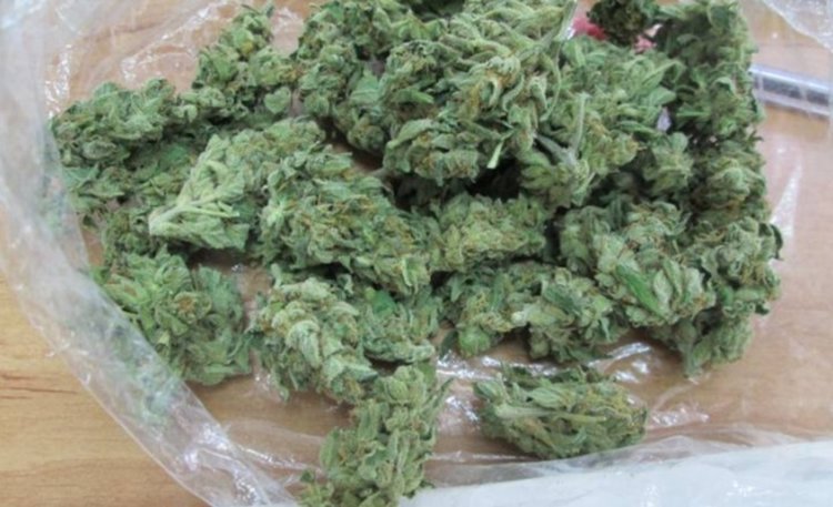 Задържаха младеж- дилър на марихуана, иззеха от дома му около 400 грама 