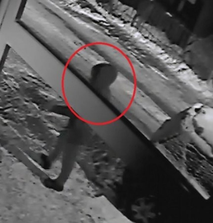 Коли под ножа – 16 с нарязани гуми в "Манастирски ливади"