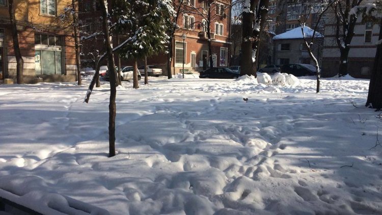 Тих и облачен вторник, сняг ще вали в Рило-Родопската област и Предбалкана