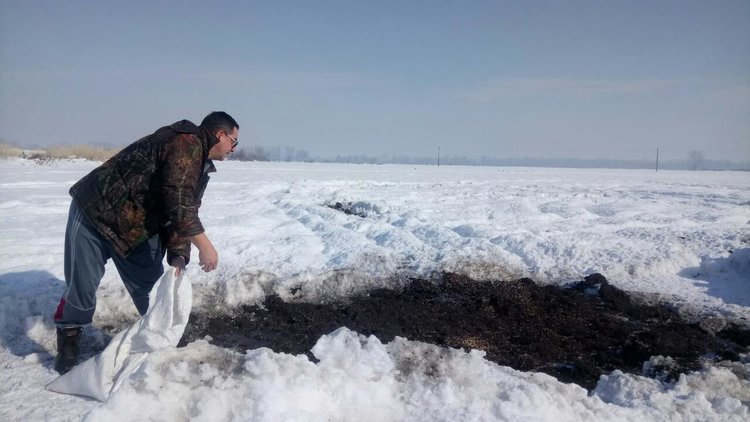 Ловците хранят дивеча и ловуват с фотоапарат