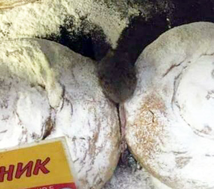Хасковлия: Закуска + мишка = 2.50 лв.