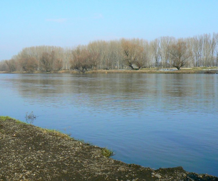Канят училища и детски градини да отбележат Световния ден на водата