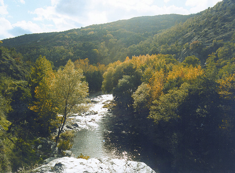 Обявиха частично бедствено положение в Катуница и Садово заради скъсани диги на Чая
