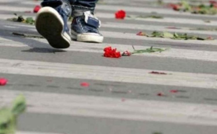 Шофьор уби жена на пешеходна пътека в Пловдив
