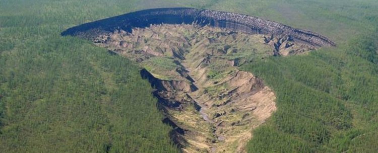 Сибирската врата към подземния свят разкри древна гора