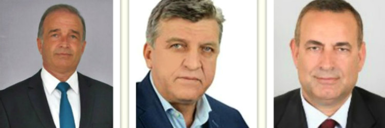 В кои комисии са асеновградските депутати? 