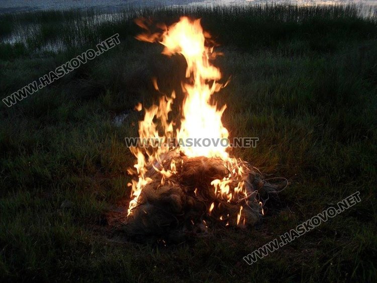 Доброволци и държавни служители удариха бракониерите край Райново