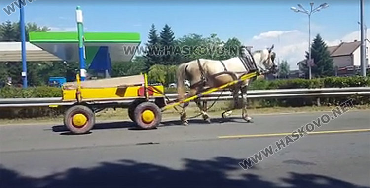 Читател: Вижте как се движат каруцарите в Хасково (видео)