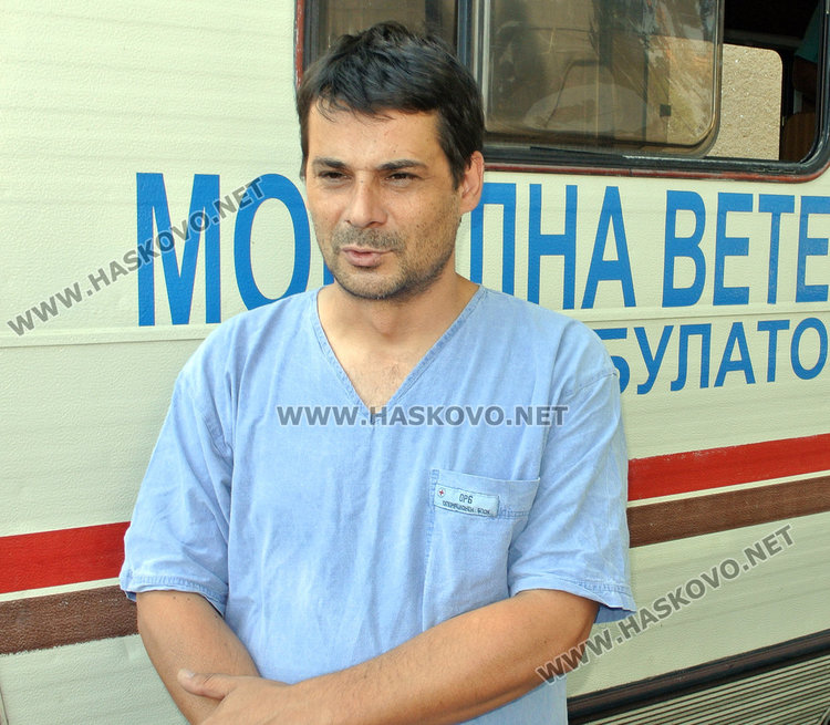 Ветеринарите: Бездомните кучета в Хасково идват от “Република”