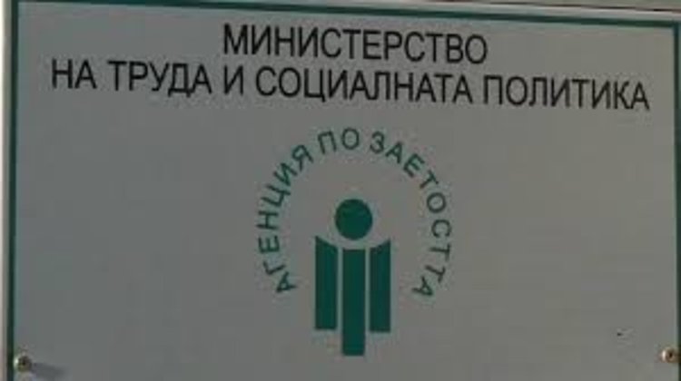 Какви свободни работни обяви Бюрото по труда в Смолян към 8 август