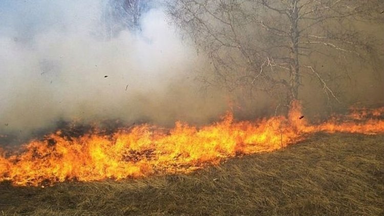 32 пожара горяха през август в Смолянско, основно заради човешка небрежност
