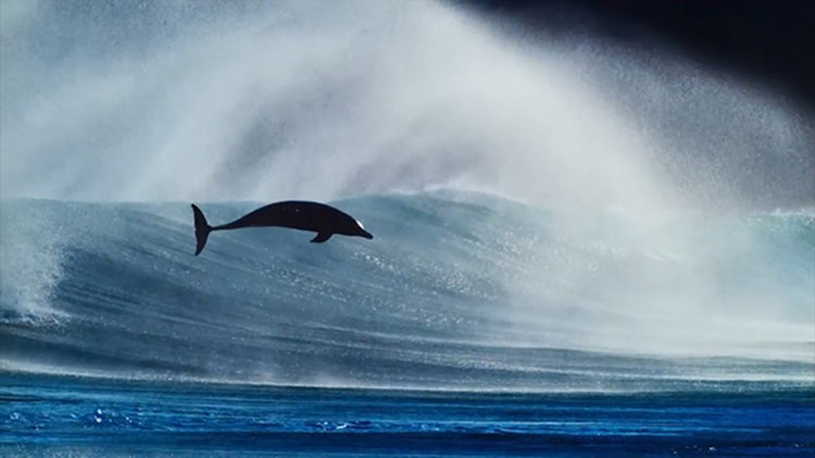 Blue Planet II: Вълнуващо видео "зад кулисите" на саундтрака (видео)