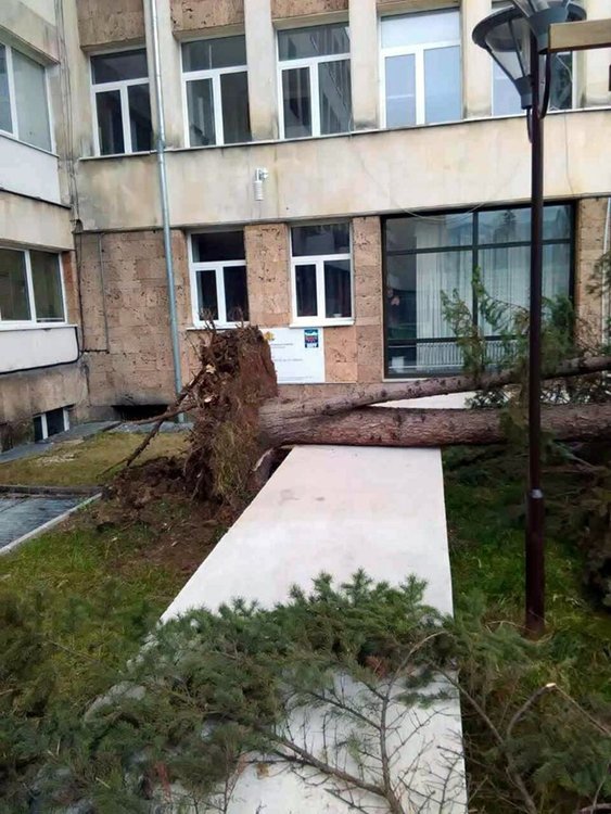 Община Смолян предупреждава: Не излизайте от домовете си, между 12:00 и 14:00 ч. вятърът ще е опасно силен!