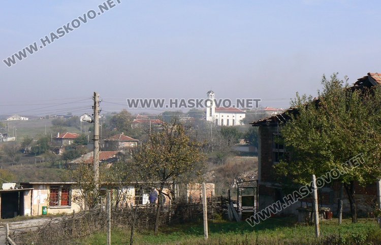 Димитровградско село се пази от крадци с частна охрана