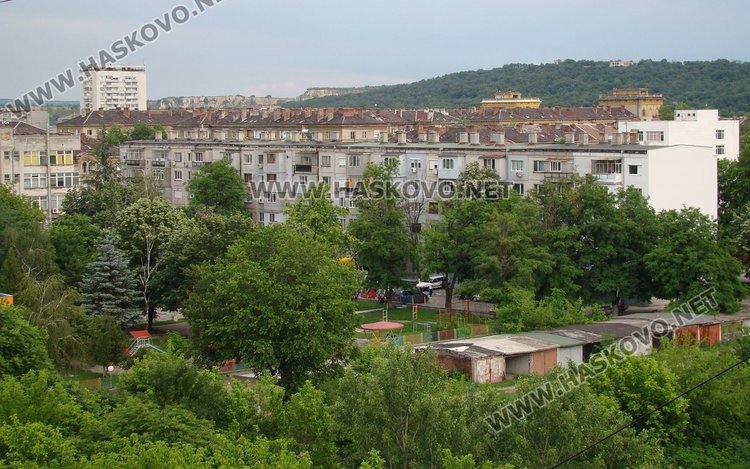 Оплакват се от нашествие на комари в Димитровград