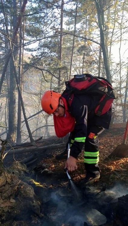 Две пожарни служби и горски служители гасиха голям пожар край Тикале, изгоряха над 10 декара