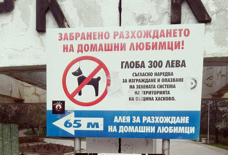 Хасковлийка: Масово пускат кучета без каишки на алеята в Кенана 