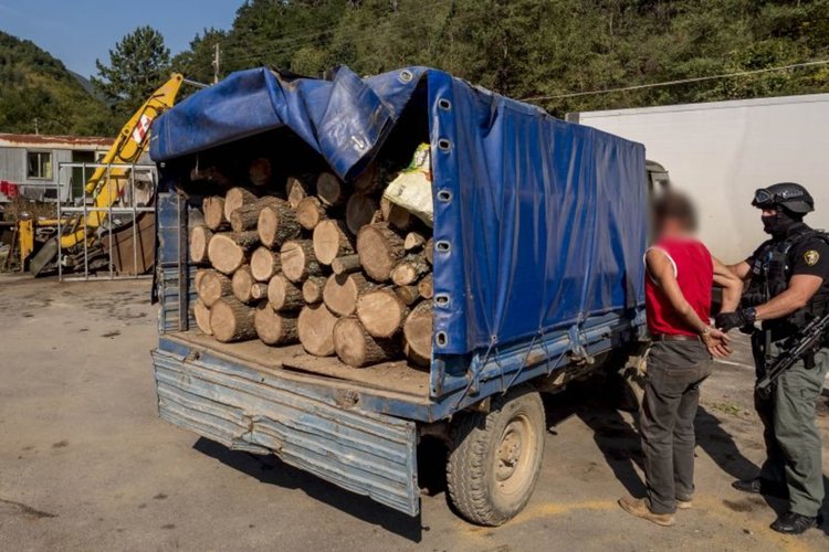 Арестуваха въоръжена престъпна група, ръководена от шефове на горското