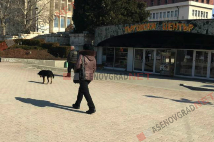 Затварят Търговския център за цялостен ремонт
