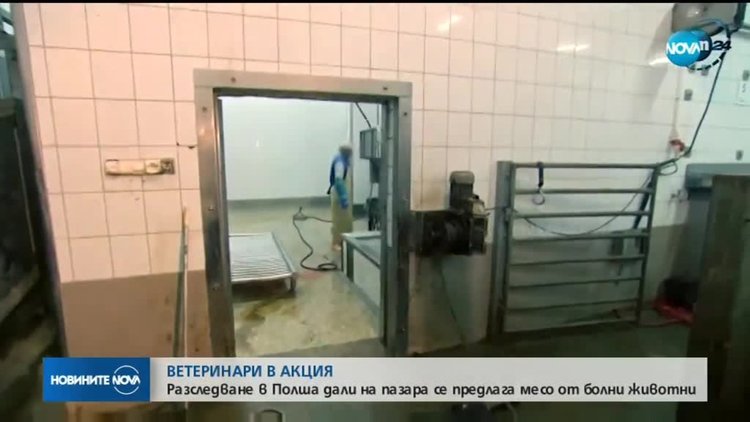 Разследват полска кланица по подозрение, че предлага месо от болни животни