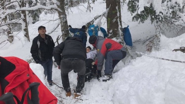 Бор падна върху лифт в Пампорово, три жени са пострадали