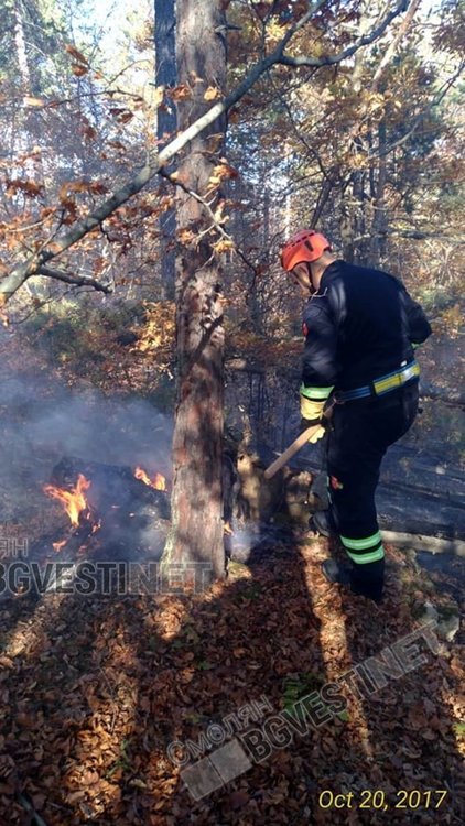 20 пожара заради човешка небрежност, спасиха над 300 декара гора и 25 сгради