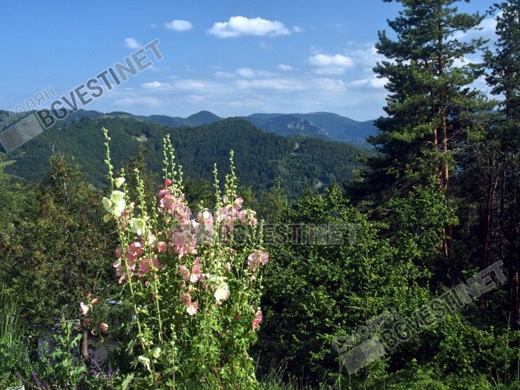 Слънце, дъжд и гръмотевици в четвъртък