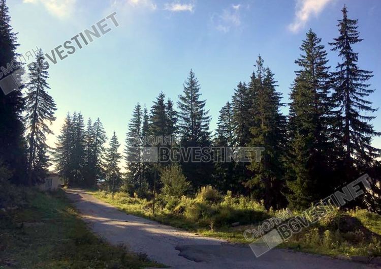 Жеги в страната, Смолян остава зелен оазис с под 30 градуса