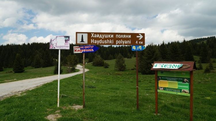 Трима задържани с халюциногенни гъби и над 55 грама марихуана в местността Хайдушки поляни