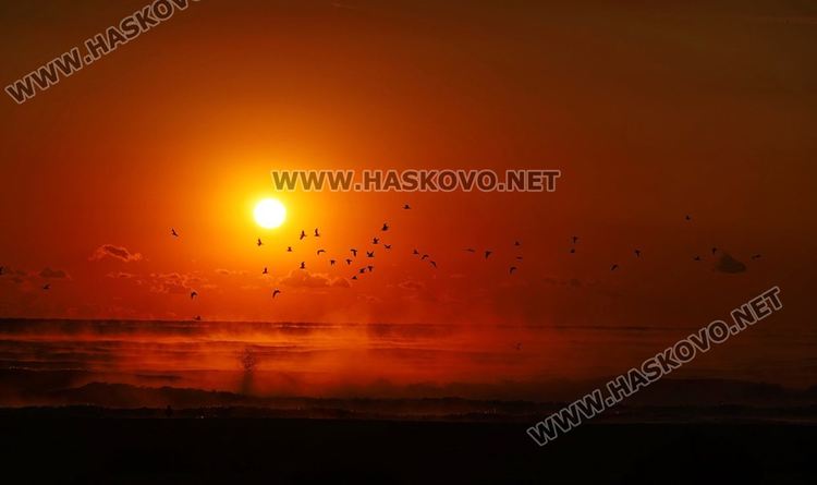 Златко Латев щракна най-добрата снимка на Фотоваканция 2019