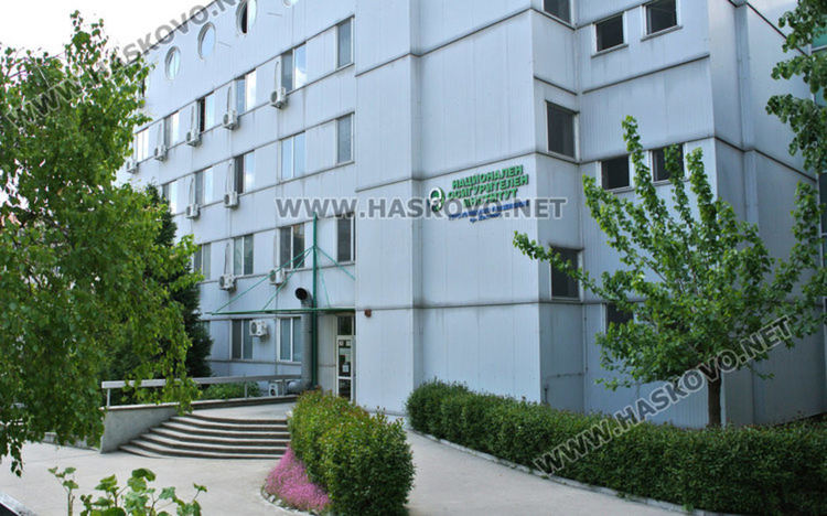 Консултации в НОИ за пенсионирането в Международния ден на възрастните