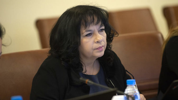 Петкова чака уточнение от президента за кои енергийни проекти е говорено с Путин