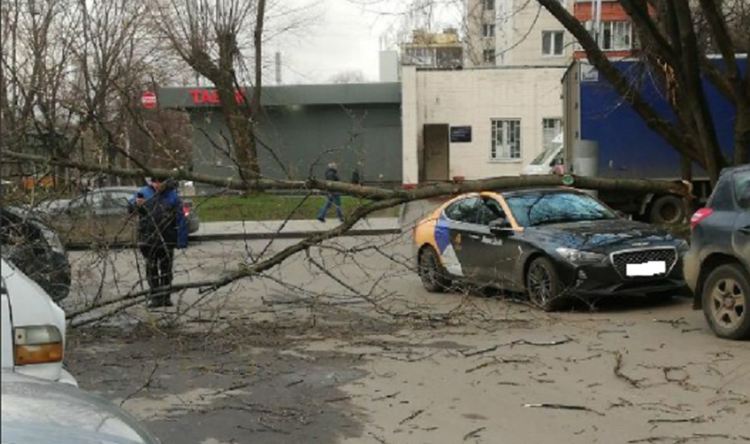 Ураган в Москва уби човек