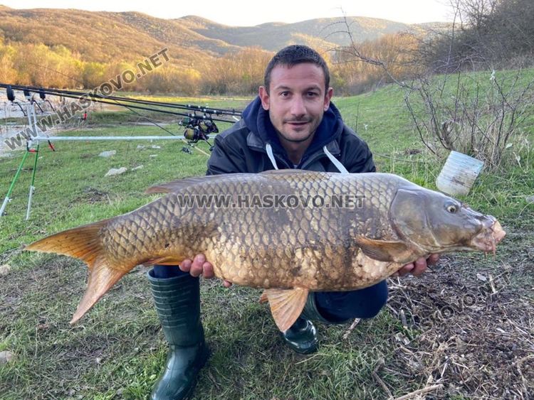 Майстори рибари измъкнаха над 30 шарана от язовир "Ивайловград"