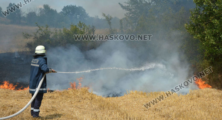 Пожар обхвана 1000 дка край Брягово