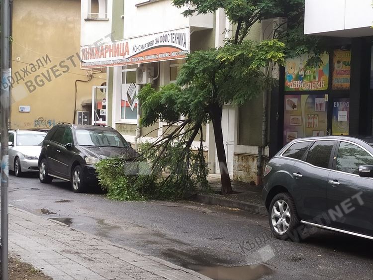 Жълт код за силен вятър в областта, в Кърджали се очаква да бъде полусилен