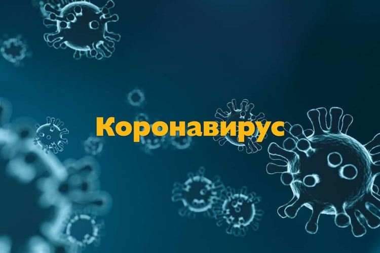РЗИ: Ден без починали от коронавирус, шестима са излекувани