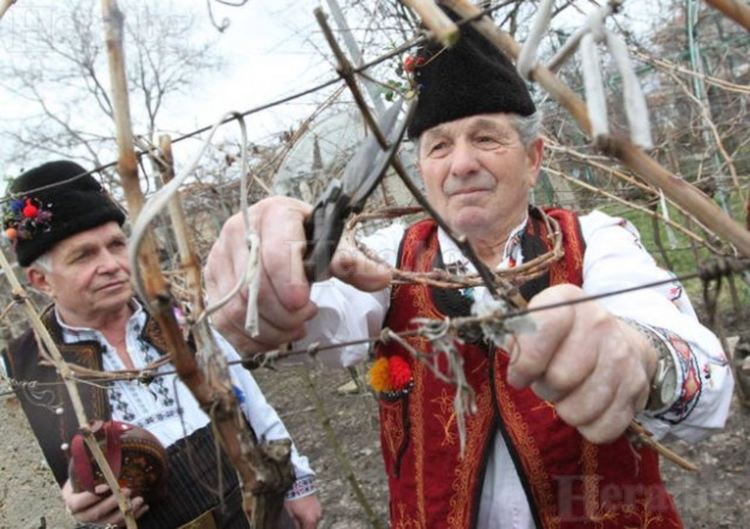 Ден на почит към Свети мъченик Трифон, наречен от народа Зарезан