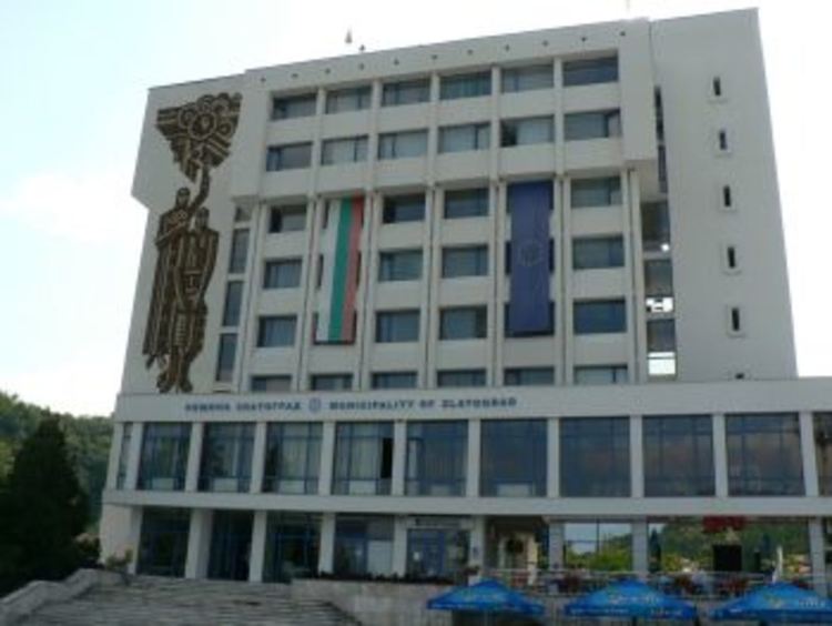Община Златоград организира кастрация на бездомните кучета, случва се на 15 февруари