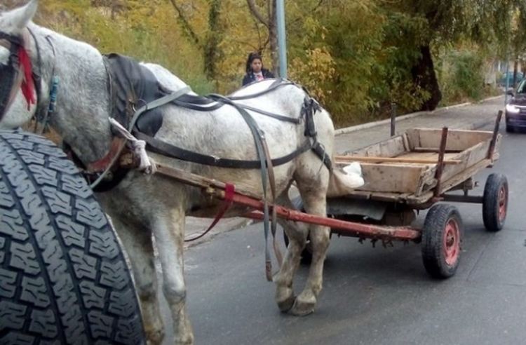 Каруца без каруцар блъсна 80-годишен велосипедист