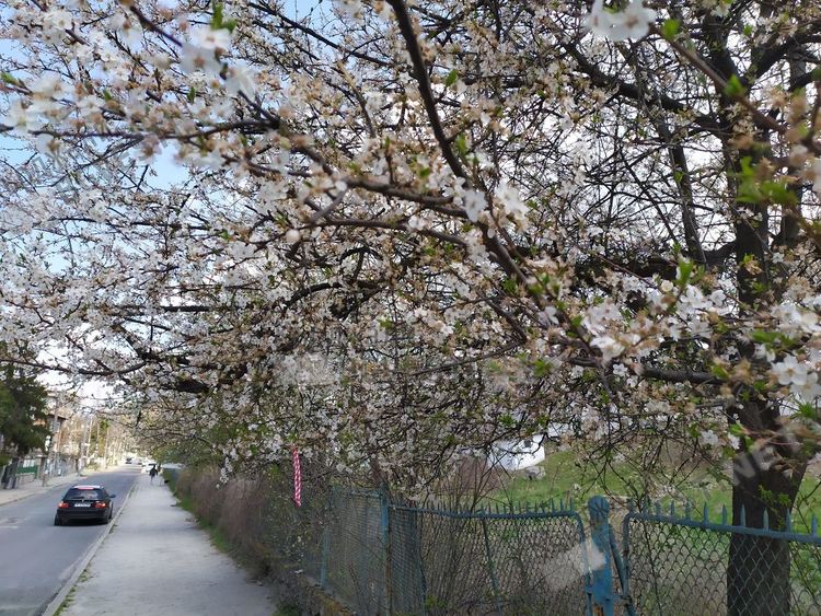 Променлива облачност над Кърджали, ще превали